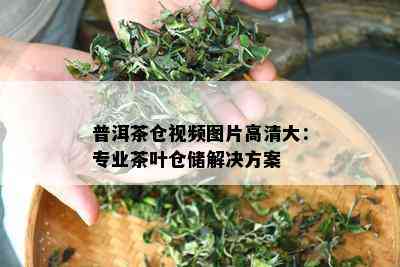 普洱茶仓视频图片高清大：专业茶叶仓储解决方案