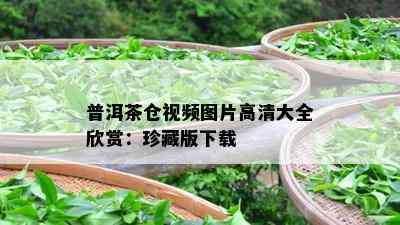 普洱茶仓视频图片高清大全欣赏：珍藏版下载