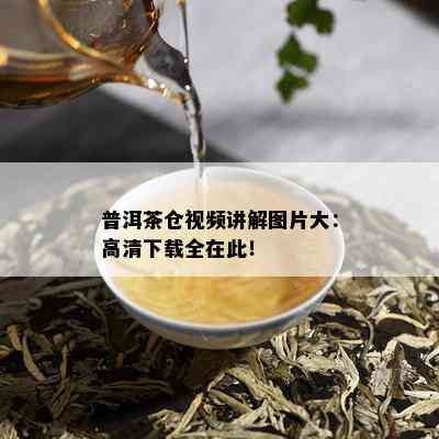 普洱茶仓视频讲解图片大：高清下载全在此！