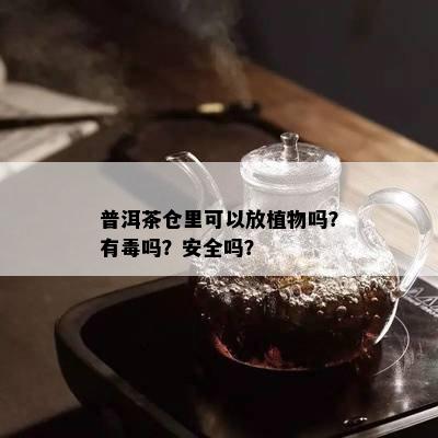 普洱茶仓里可以放植物吗？有吗？安全吗？