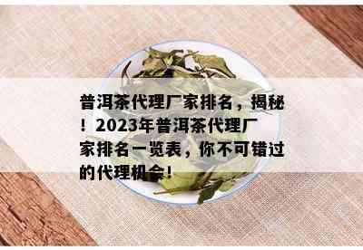 普洱茶代理厂家排名，揭秘！2023年普洱茶代理厂家排名一览表，你不可错过的代理机会！