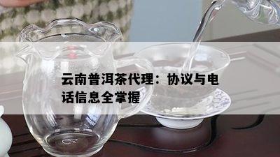 云南普洱茶代理：协议与电话信息全掌握