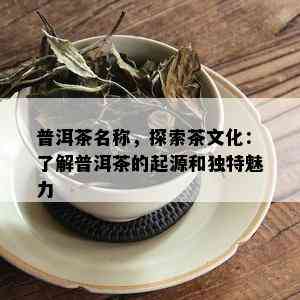 普洱茶名称，探索茶文化：了解普洱茶的起源和独特魅力