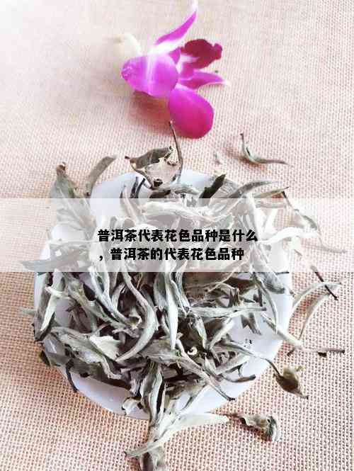 普洱茶代表花色品种是什么，普洱茶的代表花色品种