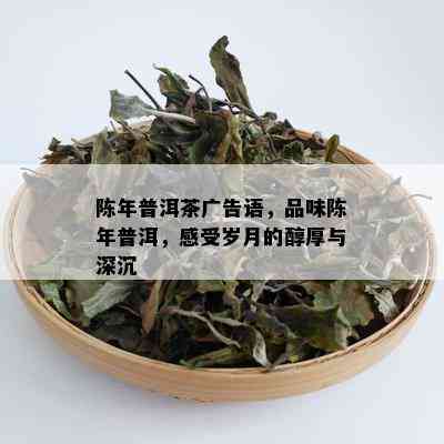 陈年普洱茶广告语，品味陈年普洱，感受岁月的醇厚与深沉