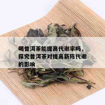 喝普洱茶能提高代谢率吗，探究普洱茶对提高新陈代谢的影响