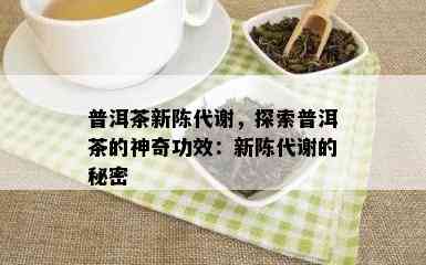 普洱茶新陈代谢，探索普洱茶的神奇功效：新陈代谢的秘密