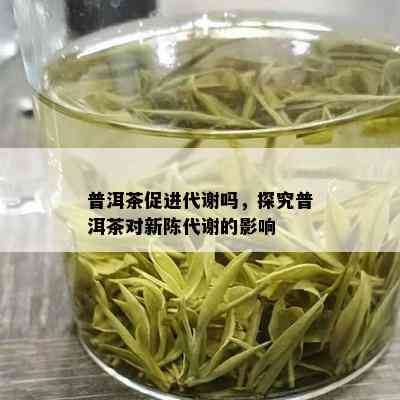 普洱茶促进代谢吗，探究普洱茶对新陈代谢的影响