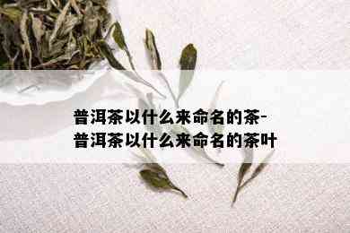 普洱茶以什么来命名的茶-普洱茶以什么来命名的茶叶