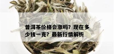 普洱茶价格会涨吗？现在多少钱一克？最新行情解析