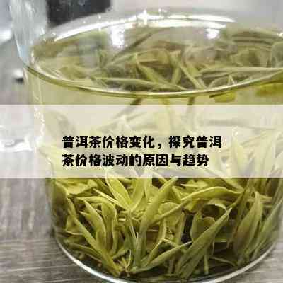 普洱茶价格变化，探究普洱茶价格波动的原因与趋势