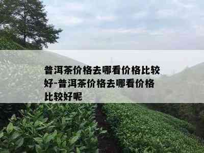 普洱茶价格去哪看价格比较好-普洱茶价格去哪看价格比较好呢