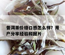 普洱茶价格口感怎么样？用户分享经验和图片