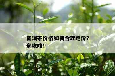 普洱茶价格如何合理定价？全攻略！