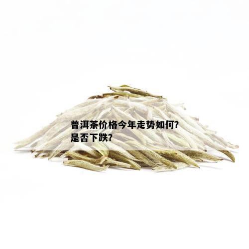 普洱茶价格今年走势如何？是否下跌？