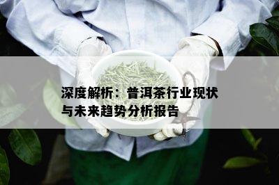 深度解析：普洱茶行业现状与未来趋势分析报告