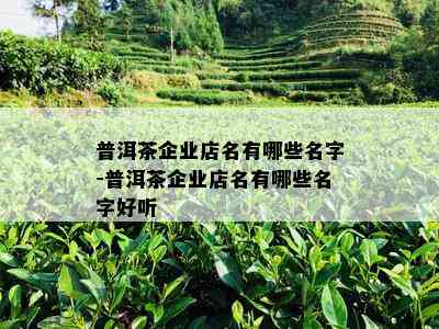 普洱茶企业店名有哪些名字-普洱茶企业店名有哪些名字好听