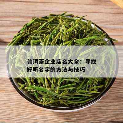 普洱茶企业店名大全：寻找好听名字的方法与技巧