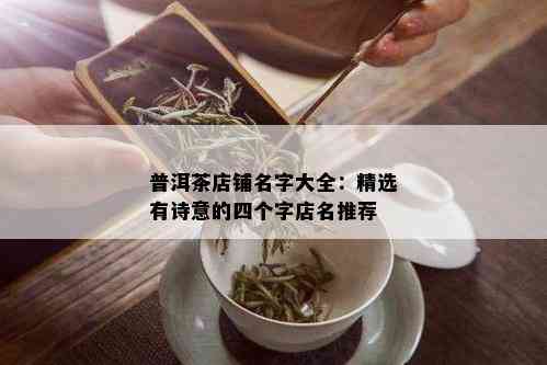 普洱茶店铺名字大全：精选有诗意的四个字店名推荐