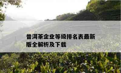 普洱茶企业等级排名表最新版全解析及下载