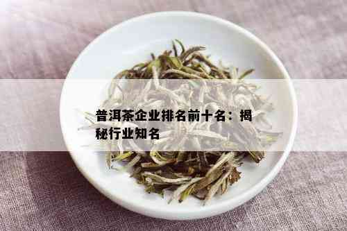 普洱茶企业排名前十名：揭秘行业知名