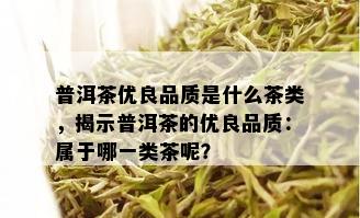 普洱茶优良品质是什么茶类，揭示普洱茶的优良品质：属于哪一类茶呢？