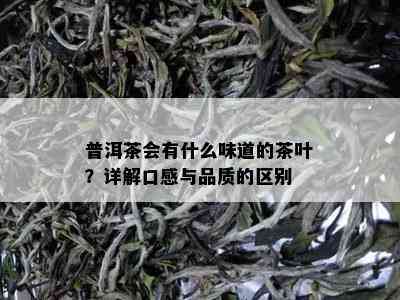 普洱茶会有什么味道的茶叶？详解口感与品质的区别