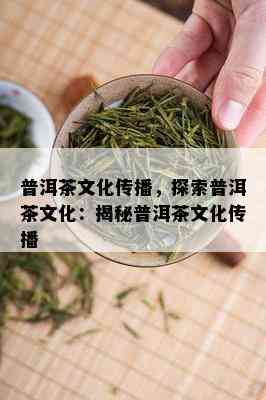 普洱茶文化传播，探索普洱茶文化：揭秘普洱茶文化传播