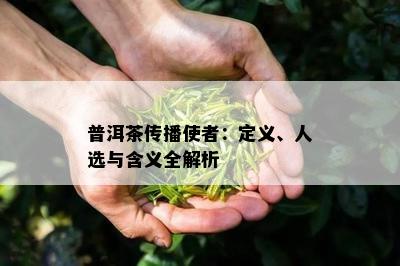 普洱茶传播使者：定义、人选与含义全解析