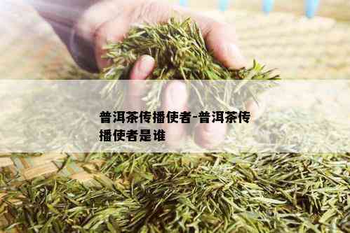 普洱茶传播使者-普洱茶传播使者是谁