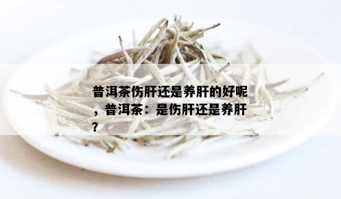 普洱茶伤肝还是养肝的好呢，普洱茶：是伤肝还是养肝？