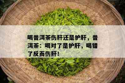 喝普洱茶伤肝还是护肝，普洱茶：喝对了是护肝，喝错了反而伤肝！