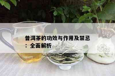 普洱茶的功效与作用及禁忌：全面解析