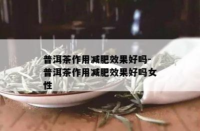 普洱茶作用减肥效果好吗-普洱茶作用减肥效果好吗女性