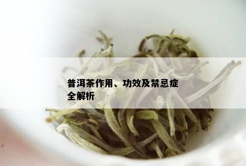 普洱茶作用、功效及禁忌症全解析