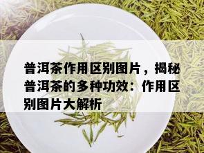 普洱茶作用区别图片，揭秘普洱茶的多种功效：作用区别图片大解析