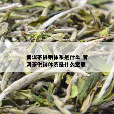 普洱茶供销体系是什么-普洱茶供销体系是什么意思