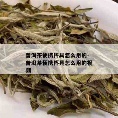 普洱茶便携杯具怎么用的-普洱茶便携杯具怎么用的视频