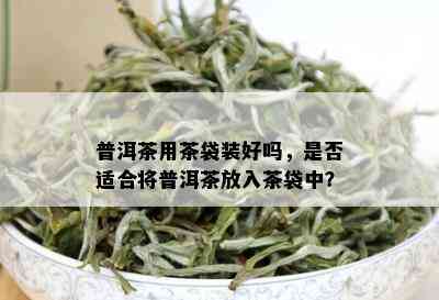 普洱茶用茶袋装好吗，是否适合将普洱茶放入茶袋中？