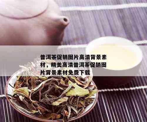 普洱茶促销图片高清背景素材，精美高清普洱茶促销图片背景素材免费下载