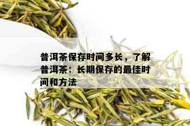 普洱茶保存时间多长，了解普洱茶：长期保存的更佳时间和方法