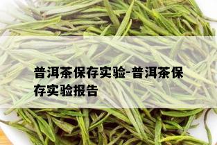 普洱茶保存实验-普洱茶保存实验报告