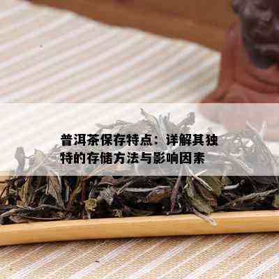 普洱茶保存特点：详解其独特的存储方法与影响因素