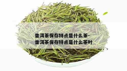 普洱茶保存特点是什么茶-普洱茶保存特点是什么茶叶