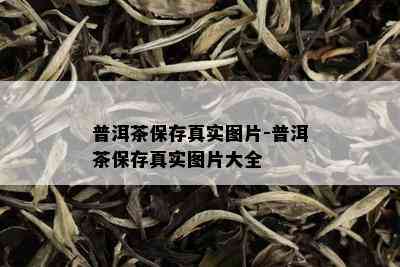 普洱茶保存真实图片-普洱茶保存真实图片大全