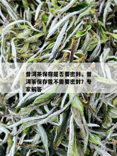 普洱茶保存是否要密封，普洱茶保存需不需要密封？专家解答