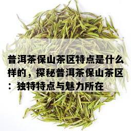 普洱茶保山茶区特点是什么样的，探秘普洱茶保山茶区：独特特点与魅力所在