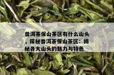 普洱茶保山茶区有什么山头，探秘普洱茶保山茶区：揭秘各大山头的魅力与特色