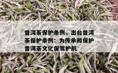 普洱茶保护条例，出台普洱茶保护条例：为传承和保护普洱茶文化保驾护航