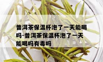 普洱茶保温杯泡了一天能喝吗-普洱茶保温杯泡了一天能喝吗有吗